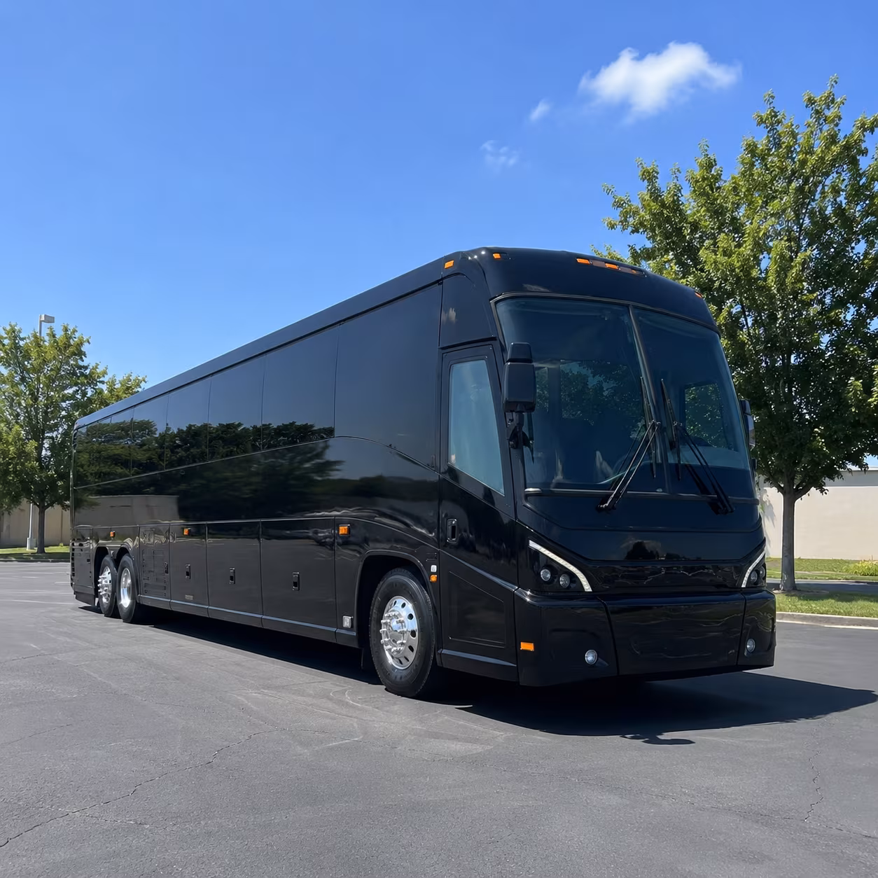 indio 56 passenger charter bus